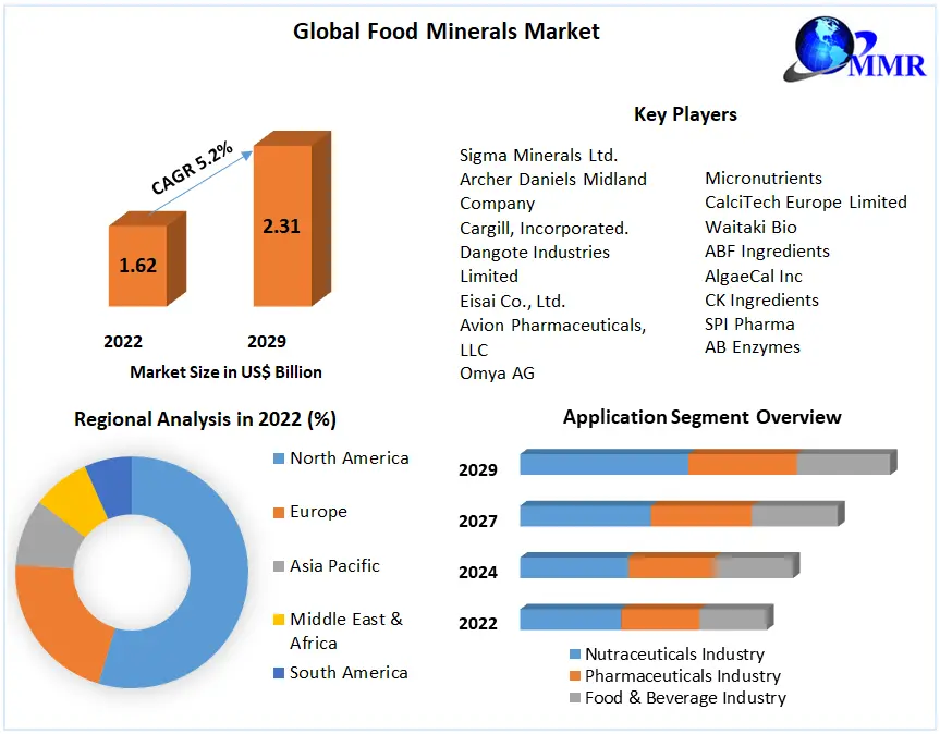 Food Minerals Market