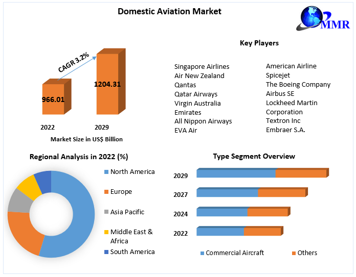Domestic Aviation Market