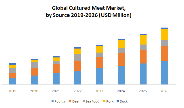 Global Cultured Meat Market1