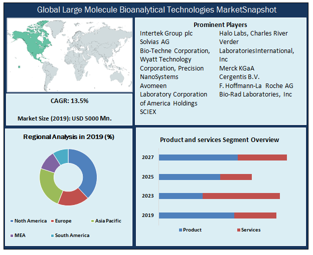 Global Large Molecule Bioanalytical Technologies Market