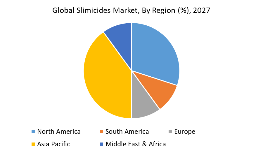 Slimicides Market - Industry Analysis and Forecast (2022-2027)
