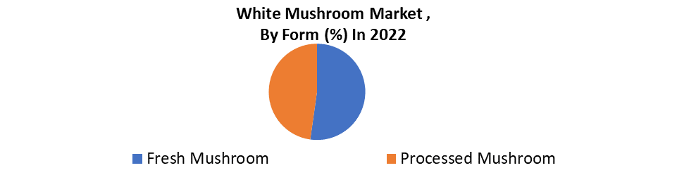 White Mushroom Market1